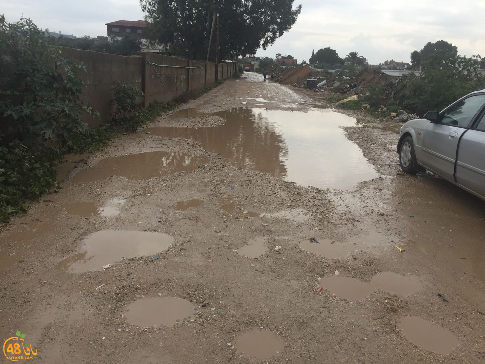 mo3anahr3h3u (7).jpg